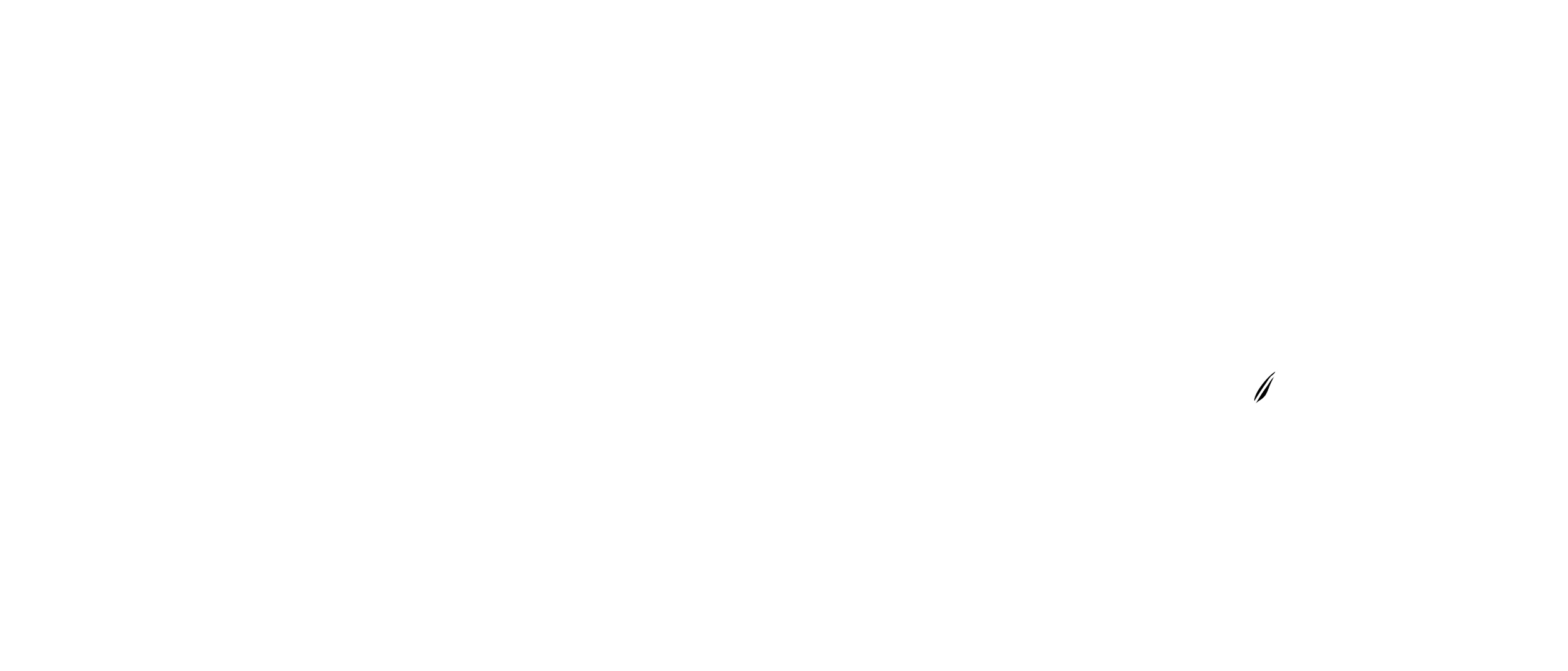 MPN-horizontal2-blanco Logo matronas parto natural